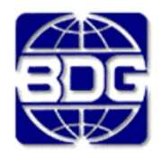BDG International