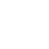 Dolphin digital ooh