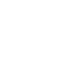 Wild wings taxidermy