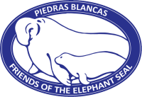 Friends of the elephant seal