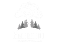 Emergent financial services, llc