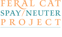 Feral cat spay/neuter project