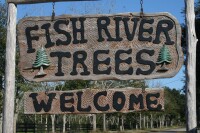 Fish river trees