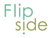 Flipside visual