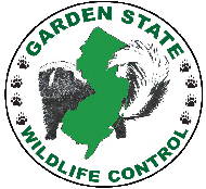 Garden state wildlife control