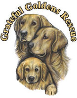 Grateful goldens rescue of the low country