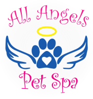 Grooming angel pet salon