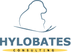 Hylobates consulting srl