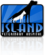 Island veterinary hospital