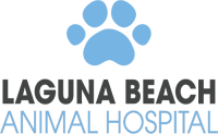 Laguna beach veterinary medical center
