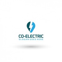 Lee electric company