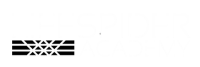 Lifespider academy