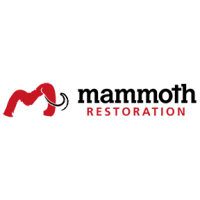 Mammoth restoration arizona