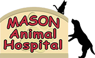 Mason animal hospital