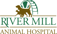 Mills river animal clinic