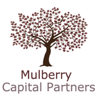Mulberry capital partners