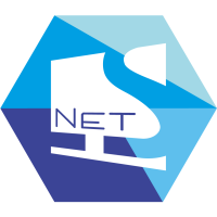 Netls software development