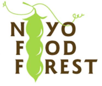 The noyo food forest