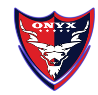 Onyx security services