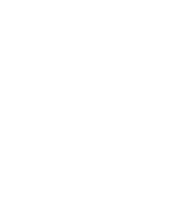 Palladium it advisors