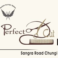 Perfect hair salon