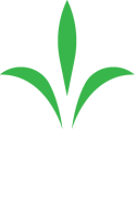 Perk products inc