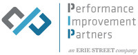 Process improvement partners llc