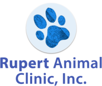 Rupert animal clinic