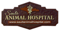 Sault animal hospital