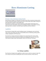 Ross Aluminum Castings, LLC