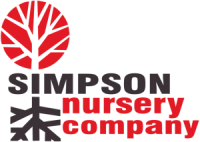 Simpson nursery