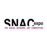 Social network art competition (snac-expo)