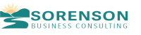 Sorenson business consulting