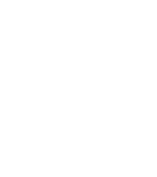 The puli hotel and spa