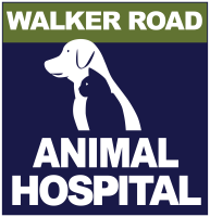 Winsor animal clinic