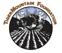 Tigermountain foundation