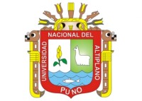 Universidad nacional del altiplano