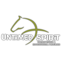 Untamed spirit therapeutic and educational program