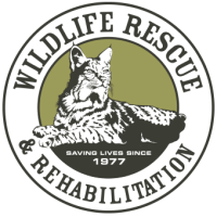 Volunteer wildlife control