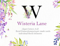 Wisteria lane properties ltd.