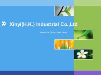 Xinyi(h.k.) industrial co.,ltd