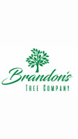 Brandian tree