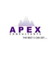 Apex consultants pune