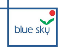 Blue sky management consultants pvt ltd