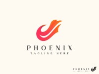 Phoenix projects