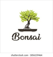 Bonsai international group