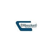 Busykart.com