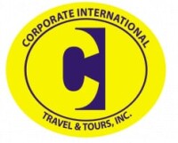 MILLENIUM INTERNATIONAL TRAVEL AND TOURS INC