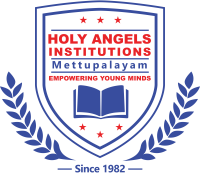 Holy angels high school - india