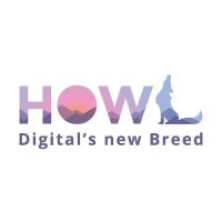 Howl - a full stack e-commerce and digital marketing solutions company